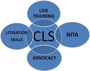 Children and Family Services Training Venn Diagram